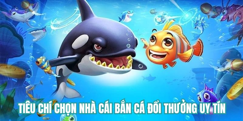 Tiêu chí chọn nhà cái bắn cá đổi thưởng