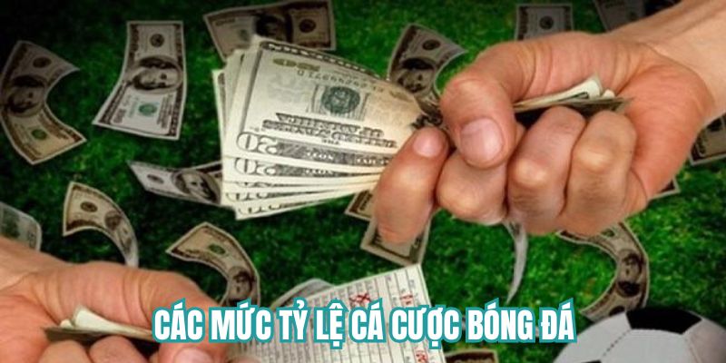 Các mức tỷ lệ cược trong bóng đá