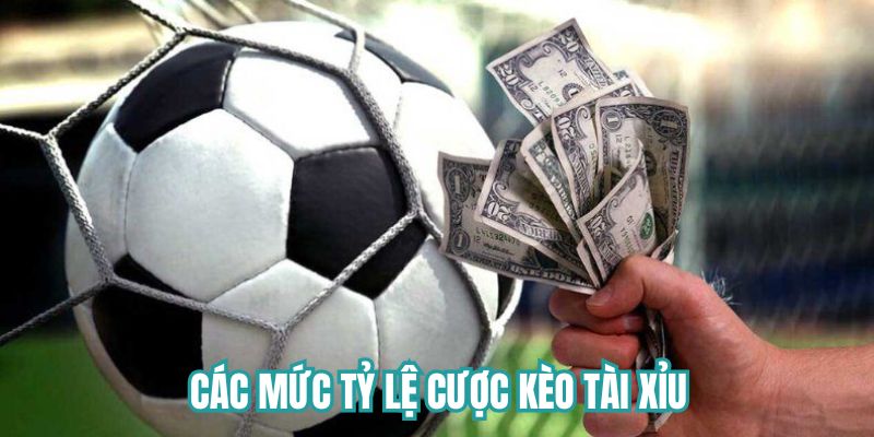 Các mức tỷ lệ cá độ phổ biến nhất