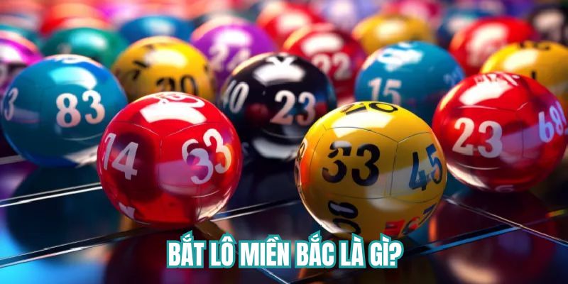 Bắt lô miền Bắc là gì?