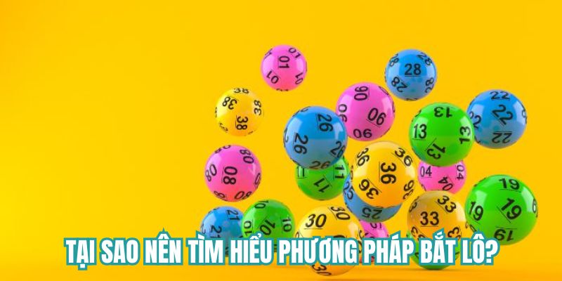 Tại sao nên tìm hiểu phương pháp bắt lô miền Bắc?