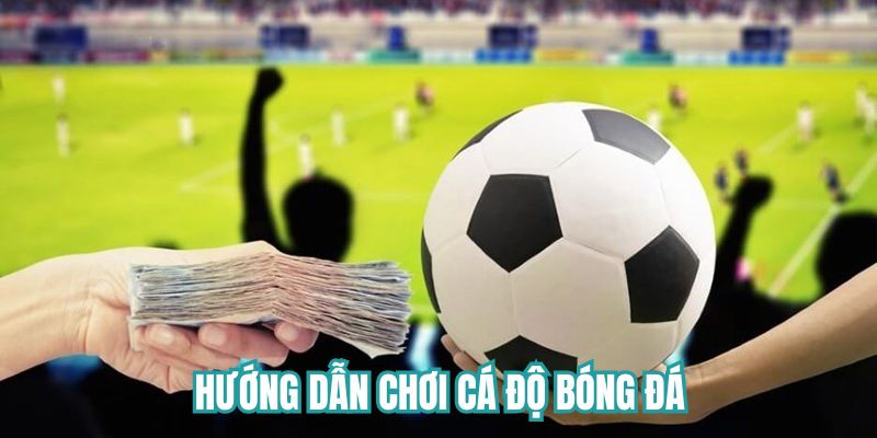 Từng bước tham gia cá cược đơn giản nhất