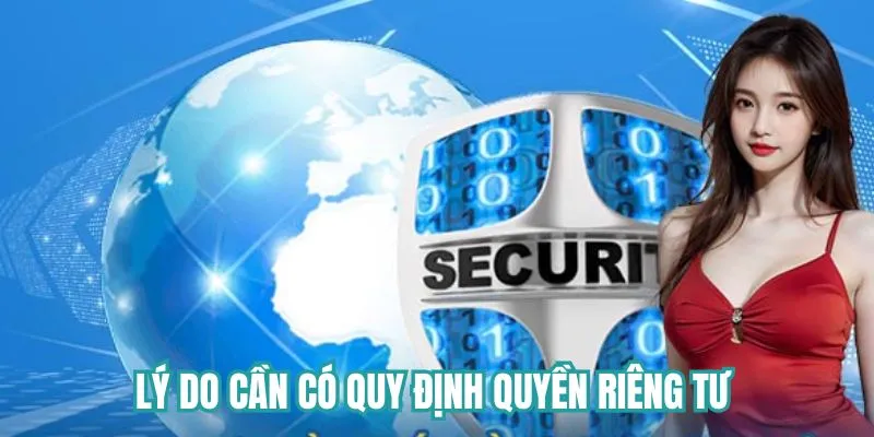 Lý do tại sao cần có quy định quyền riêng tư 