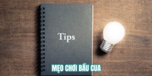 mẹo chơi bầu cua
