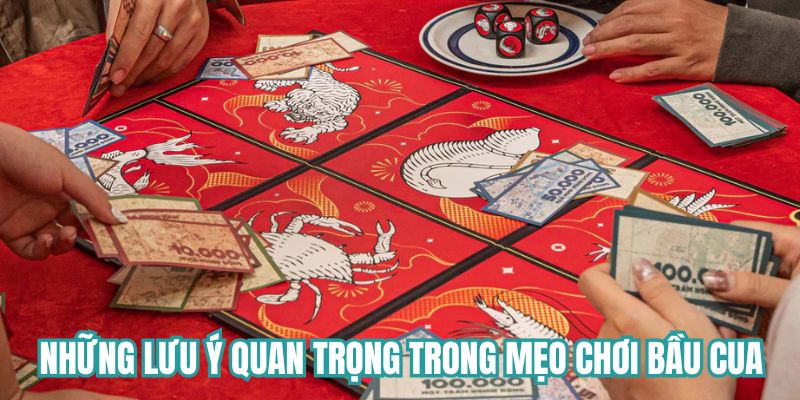 Những lưu ý quan trọng trong mẹo chơi bầu cua