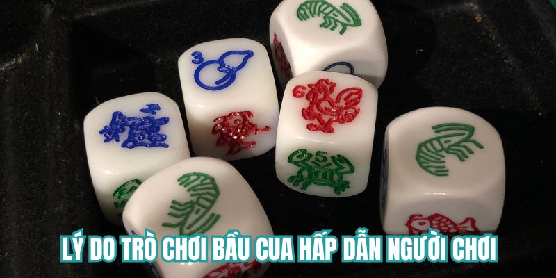 Lý do trò chơi bầu cua hấp dẫn người chơi mọi lứa tuổi