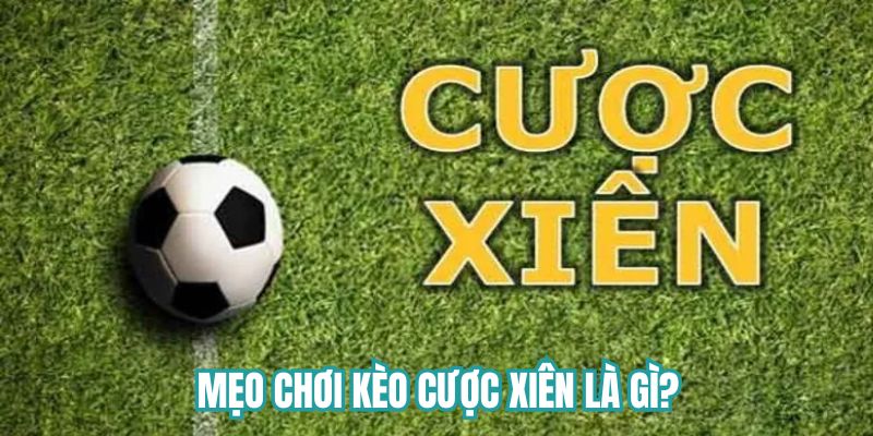 Mẹo cược thắng to dành cho anh em