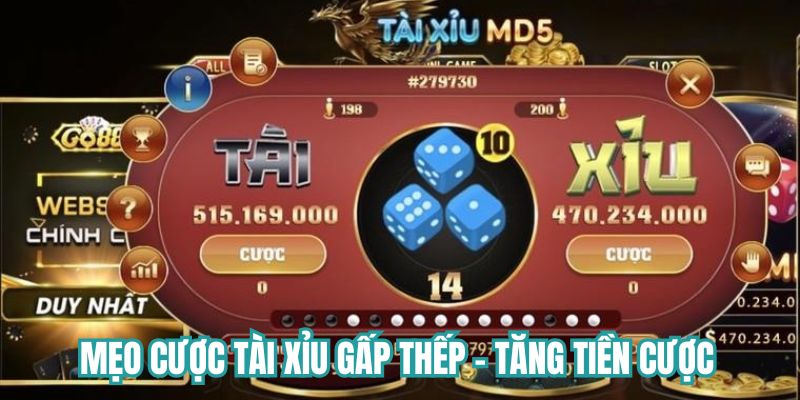 Mẹo cược tài xỉu Gấp thếp - Tăng tiền cược 