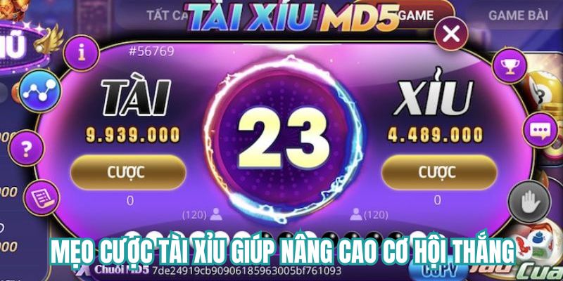 Mẹo cược Tài Xỉu giúp tối ưu chiến lược và nâng cao cơ hội thắng