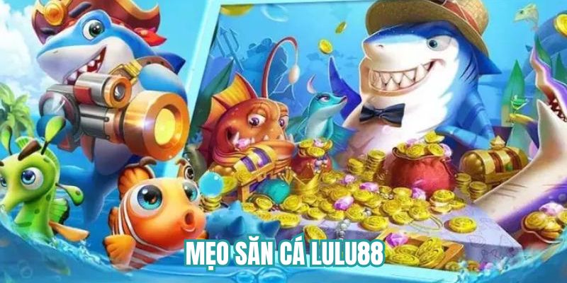 mẹo săn cá