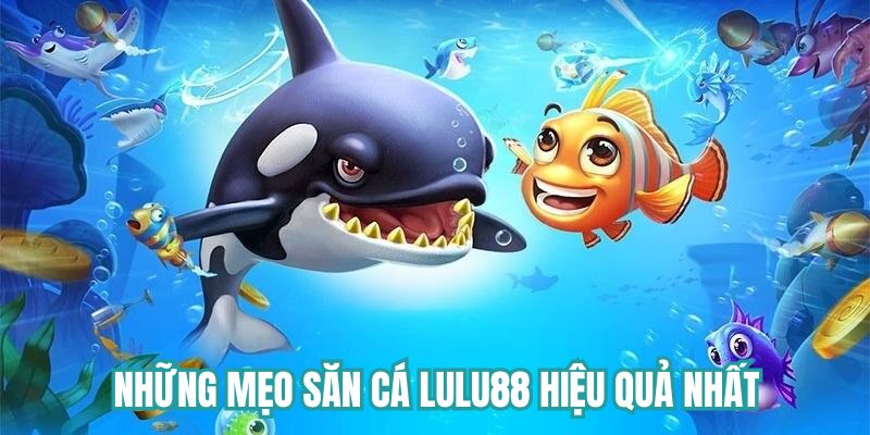 Những mẹo săn cá Lulu88 hiệu quả nhất