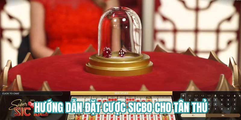 Hướng dẫn đặt cược Sicbo cho tân thủ