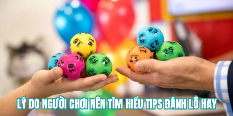 Lý do người chơi nên tìm hiểu tips đánh lô từ cao thủ