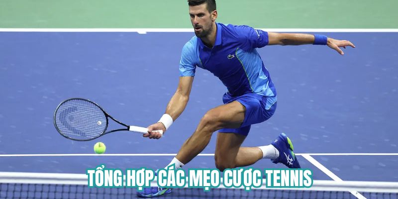 Tìm hiểu các mẹo cược tennis thắng to Tìm hiểu các mẹo cược tennis thắng to
