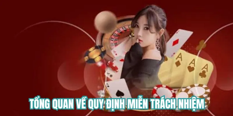 Tổng quan về nội dung quy định miễn trách nhiệm 