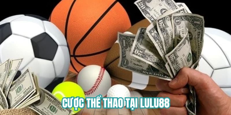 Hướng dẫn từng bước tham gia cược Sports 